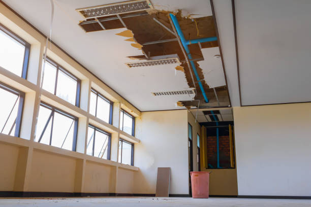 Best Flooded house restoration  in Bronte, TX