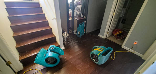Best Water damage restoration near me  in Bronte, TX