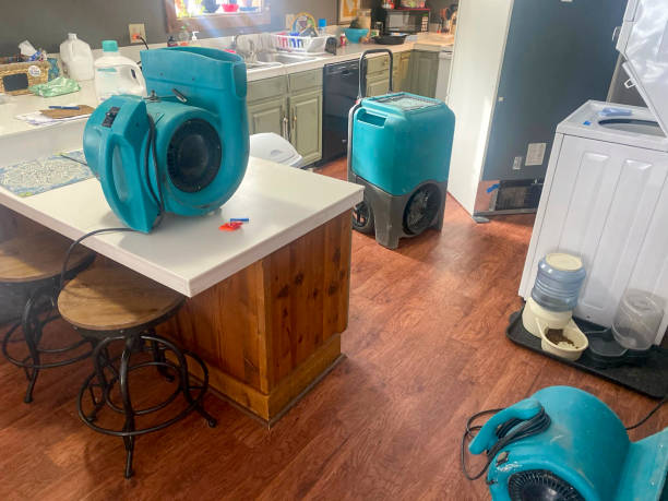 Best Water damage restoration services  in Bronte, TX