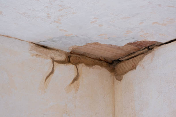Best Water damage contractors near me  in Bronte, TX