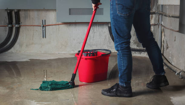 Best Carpet water damage restoration  in Bronte, TX