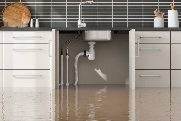 Best Water damage contractors near me  in Bronte, TX